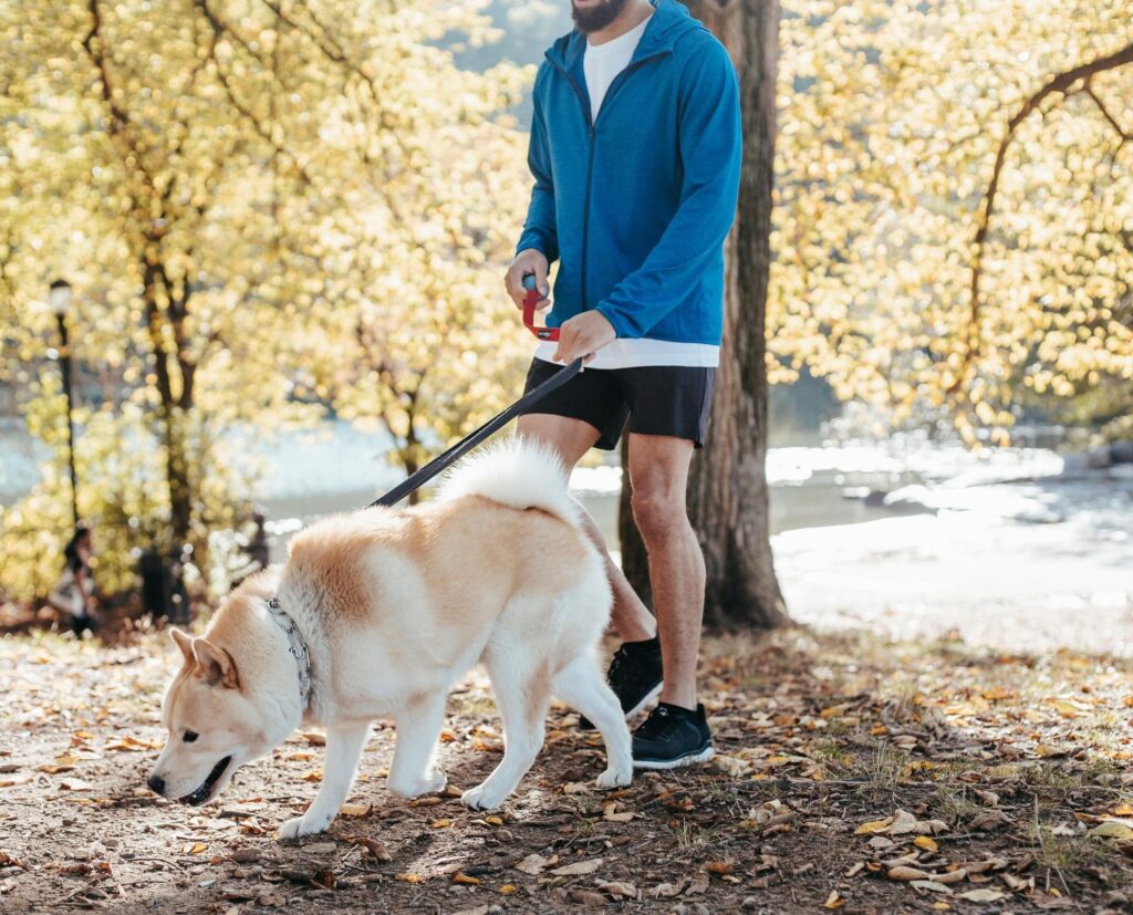 Ask The Doc What Causes Incontinence In Men