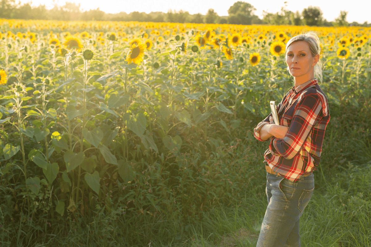 MenopauseUTIBlog2026 A woman in a plaid shirt and jeans stands with her arms crossed in a large sunflower field at sunset, holding a tablet while reviewing caregiving resources.