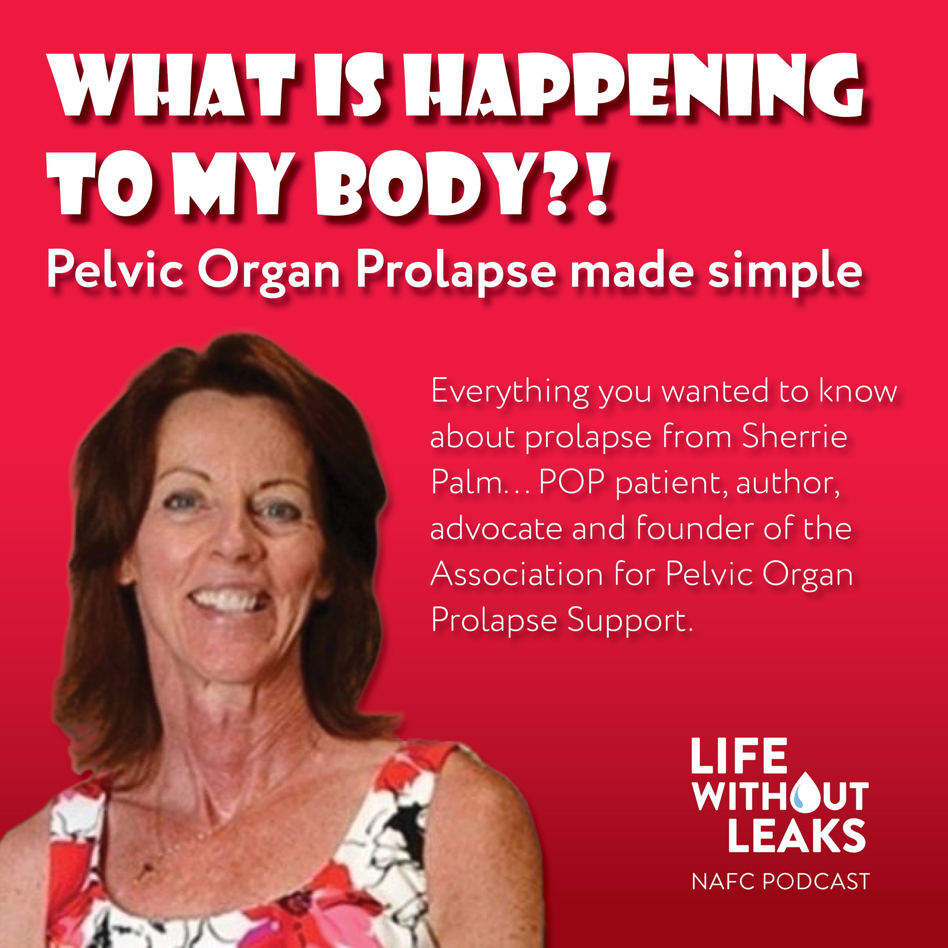 Podcast Webpage Image – Sherrie Palm Sherrie Palm podcast - pelvic organ prolapse made simple.
