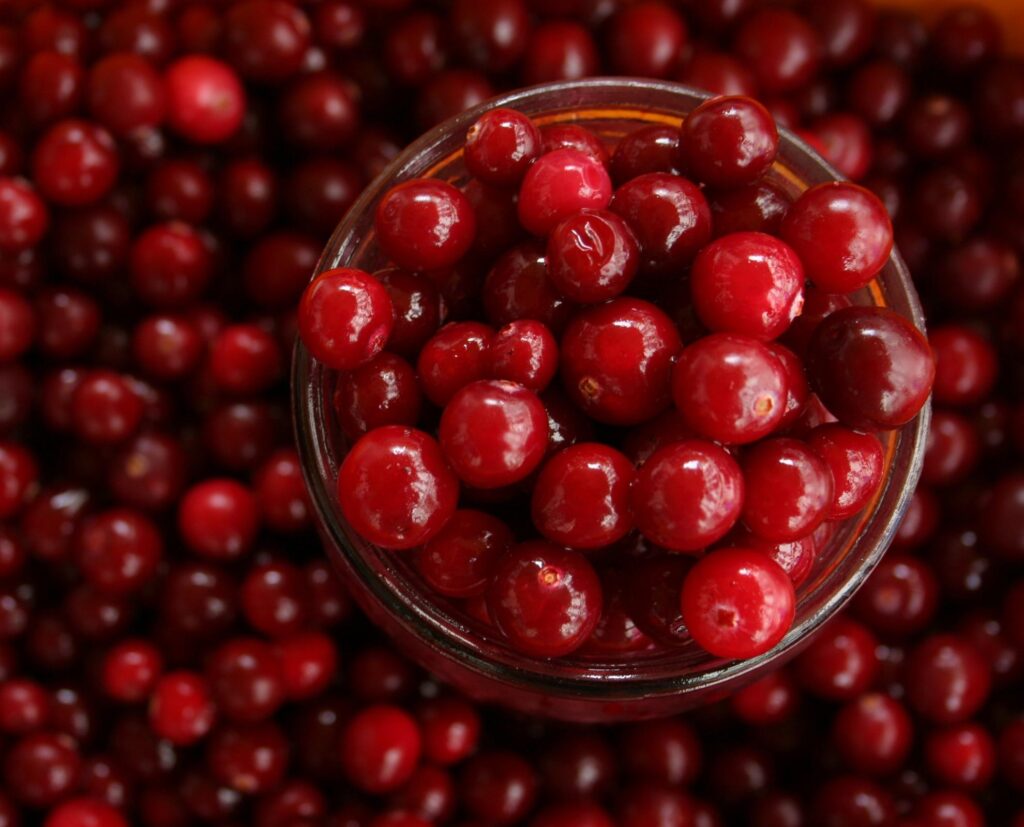 Your Guide To Eating During The Holidays For A Healthy Bladder